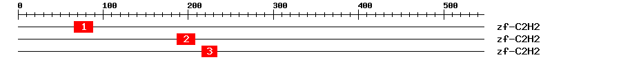 Signature Domain