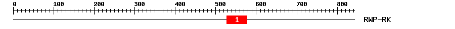 Signature Domain