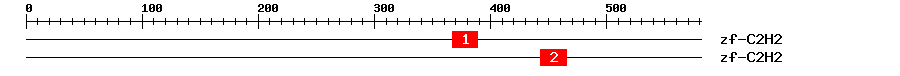 Signature Domain