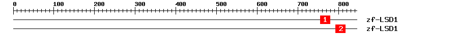 Signature Domain
