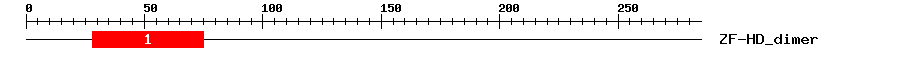 Signature Domain