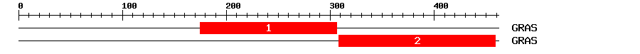 Signature Domain
