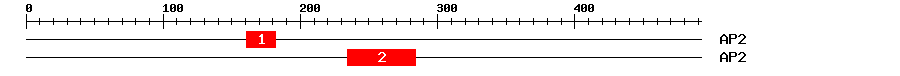 Signature Domain