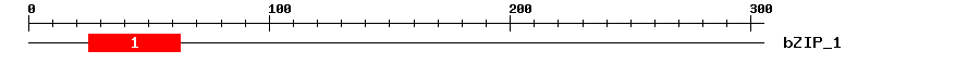 Signature Domain