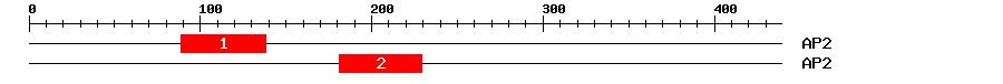 Signature Domain