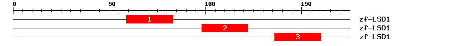 Signature Domain