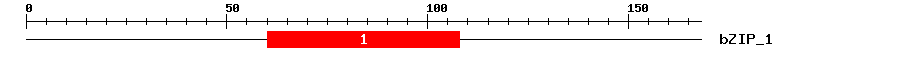 Signature Domain