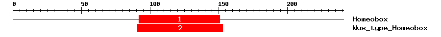 Signature Domain