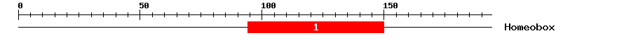 Signature Domain