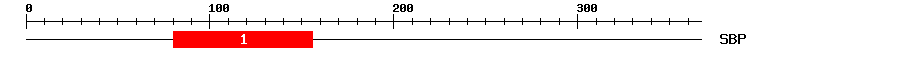 Signature Domain