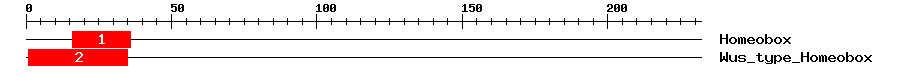 Signature Domain