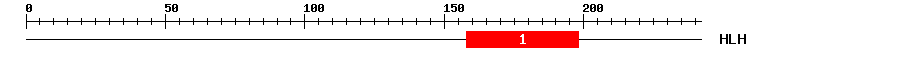 Signature Domain