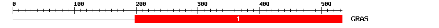 Signature Domain