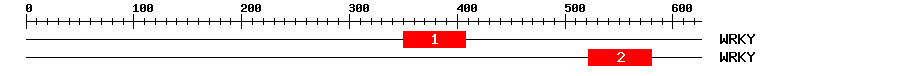 Signature Domain