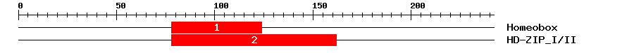 Signature Domain