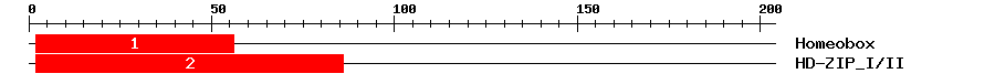 Signature Domain