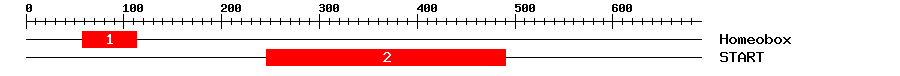Signature Domain