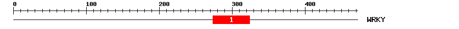 Signature Domain