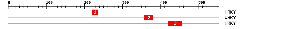 Signature Domain
