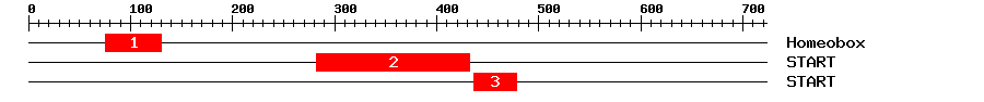 Signature Domain