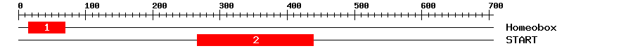 Signature Domain
