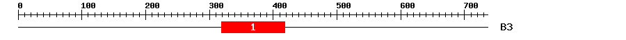 Signature Domain