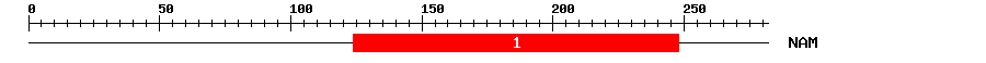 Signature Domain