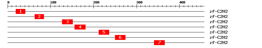 Signature Domain