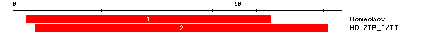 Signature Domain