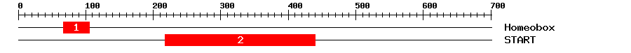Signature Domain