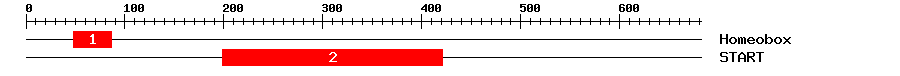 Signature Domain