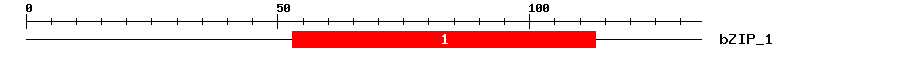Signature Domain