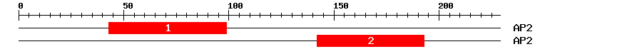 Signature Domain