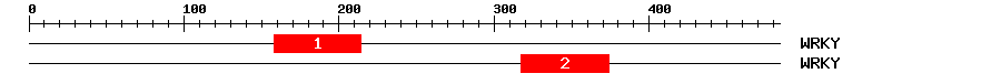 Signature Domain