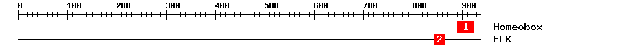 Signature Domain