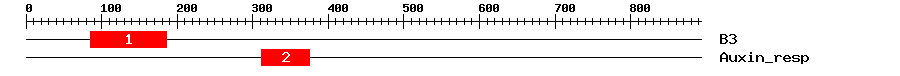 Signature Domain