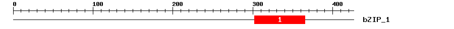 Signature Domain