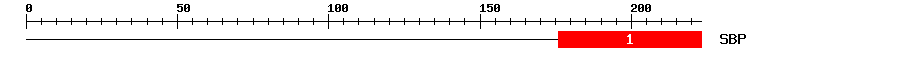 Signature Domain