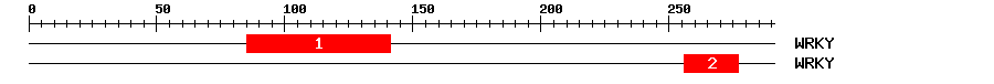 Signature Domain