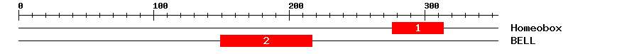 Signature Domain
