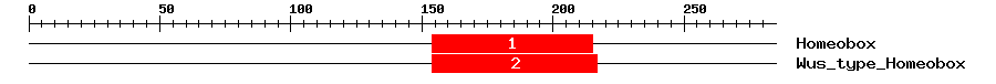 Signature Domain