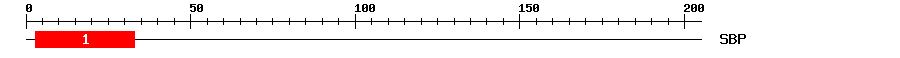 Signature Domain