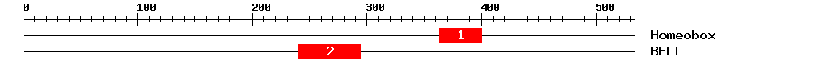 Signature Domain