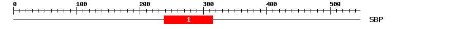 Signature Domain