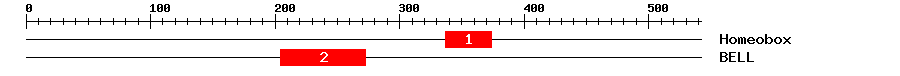Signature Domain