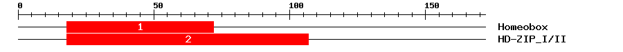 Signature Domain