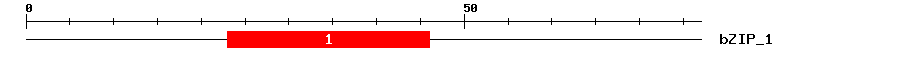 Signature Domain