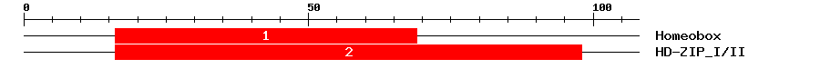 Signature Domain