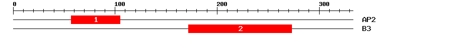 Signature Domain