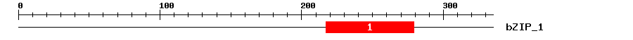 Signature Domain